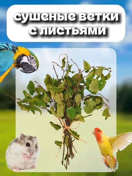 ветки для грызунов и птиц, лакомства для животных 10 шт