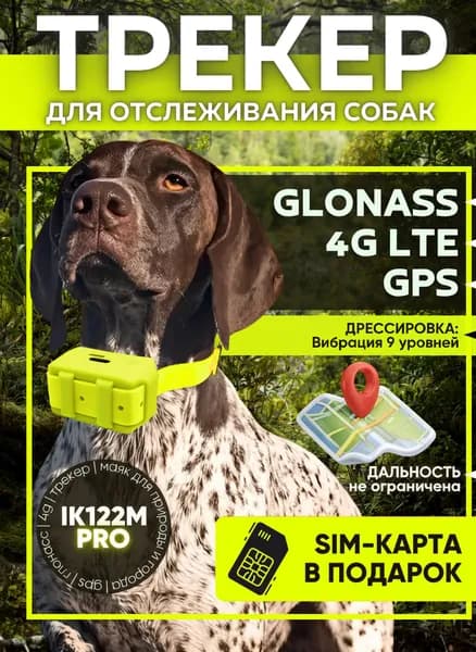 GPS-трекер для отслеживания собак IK122M PRO (БЕЗ ТОКА)
