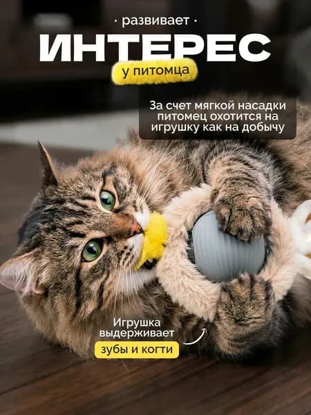 Шарики-игрушки Для Домашних Животных Могут Избавить Домашних Животных От Скуки
