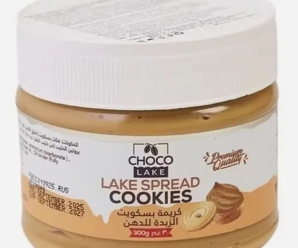 Крем-паста с печеньем и молочной начинкой Choco Lake 300 г