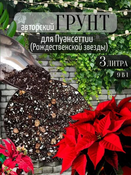 Грунт для Пуансеттии (Рождественской звезды) 3 л.