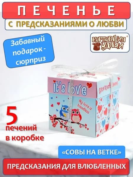 Печенье с предсказаниями "Это любовь. Совы на ветке" 5 штук, 35 г, Корпорация удачи