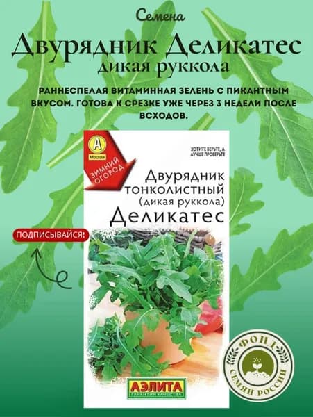 Семена Двурядник, руккола индау, Деликатес 0,2 грамма / Зимний огород