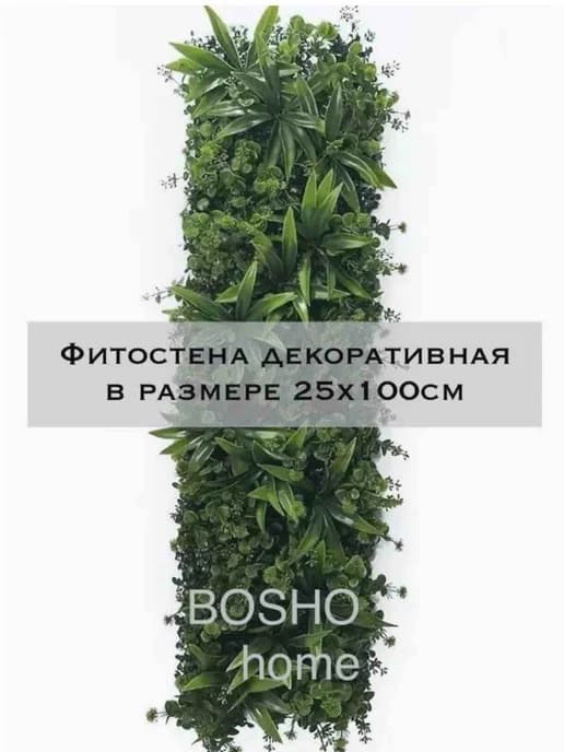 Фитостена из декоративных растений в размере 25х100см