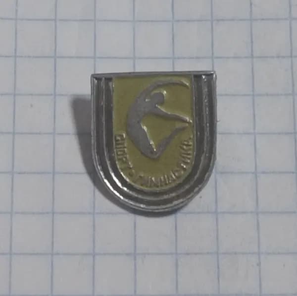 Значок "Спорт. Гимнастика"