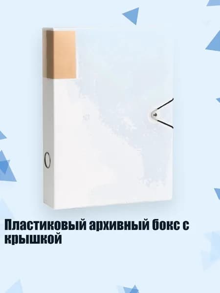 Пластиковый архивный бокс с крышкой, Белый