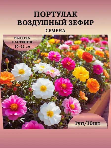 Портулак "Воздушный Зефир" семена, 1 пачка