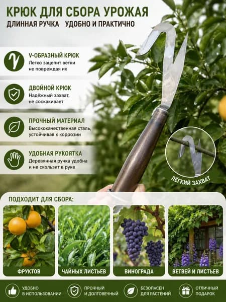 Плодосборник