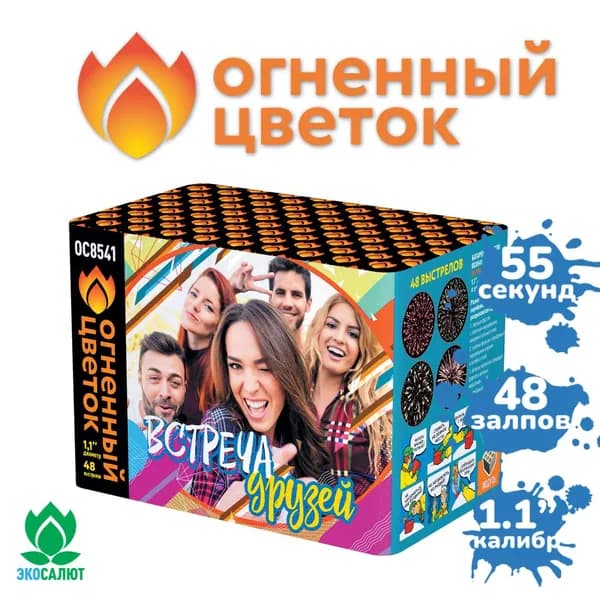 Фейерверк "Встреча друзей" (48 залпов)