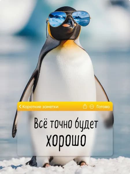 Магнит на холодильник для подруги, сестры, коллеги, подарок, прикол, 1шт, 7х10см