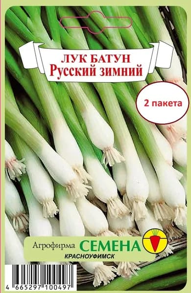 семена лук батун русский зимний 0,4 гр / 2 пакета, морозостойкий, многолетний, на зелень