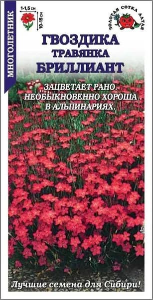 Гвоздика Бриллиант травянка /Сотка/ 0,1 г