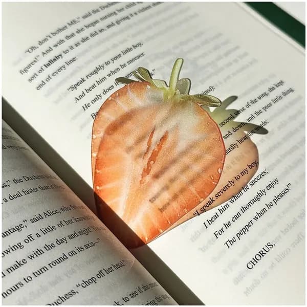 Закладка