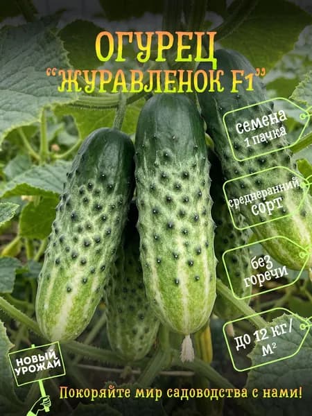 Коллекционные семена огурца Журавленок F1, 1 пачка в комплекте