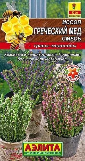 Иссоп "Греческий Мед" смесь сортов, Аэлита высокий спрос