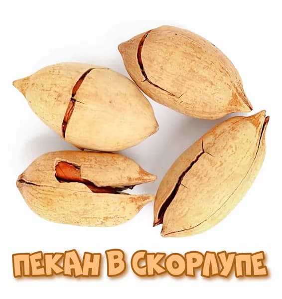 Пекан в скорлупе орех (обжаренный) 250г