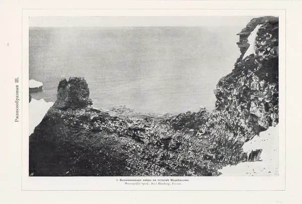1910-е гг. Фототипия, Кайры на острове Медвежьем
