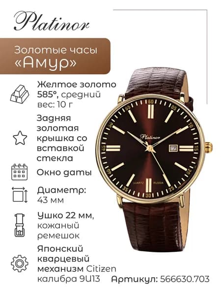 Мужские золотые часы Амур 566630.703