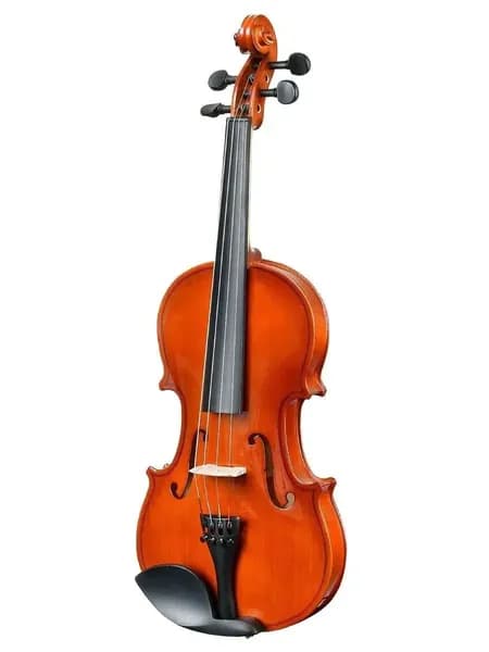 Скрипка Antonio Lavazza VL-28L 1/2