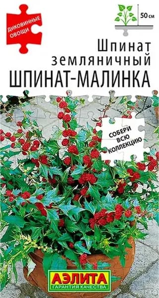 Семена Шпинат земляничный Шпинат-Малинка (0,05г) - Аэлита