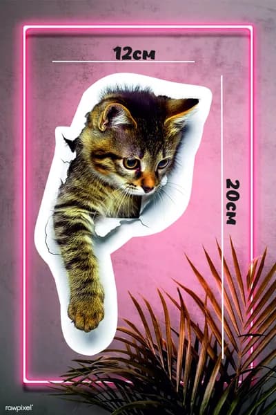 Наклейка Котик, кот, интерьерная на стену, авто, холодильник, дверь 3D эффект, 20х12