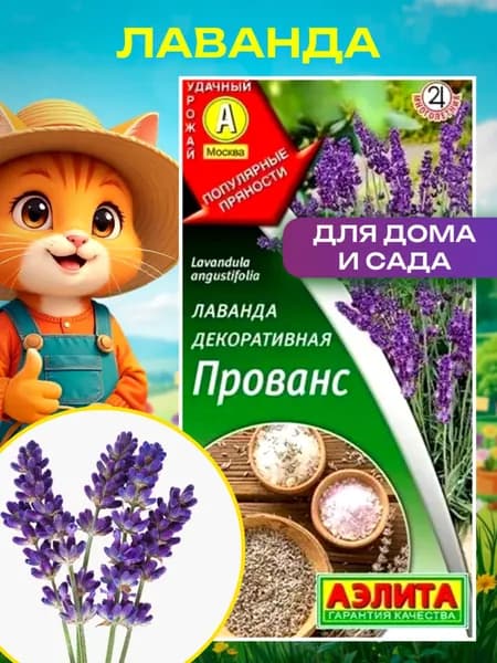 Лаванда декоративная Прованс, семена цветов комнатных и для сада Аэлита, 0,1г