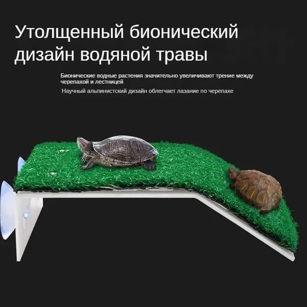 Полка