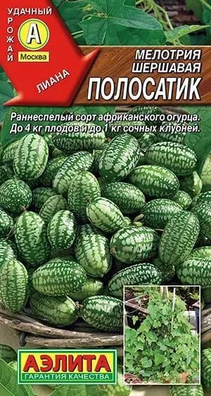 Семена Мелотрия Полосатик (Мышиная дыня) (10 семян) - Аэлита, арбузный огурец арбузик