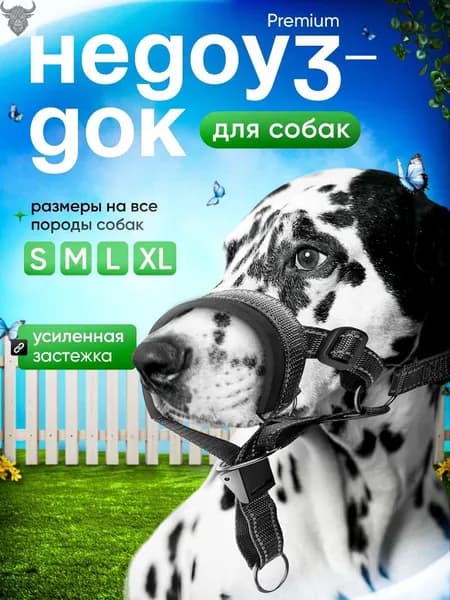 Намордник