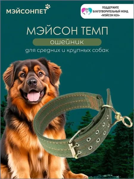 Усиленный нейлоновый ошейник для крупных и средних собак, премиуммодель с вертлюгом, шириной 50 мм и длиной 70 см.-ziqi