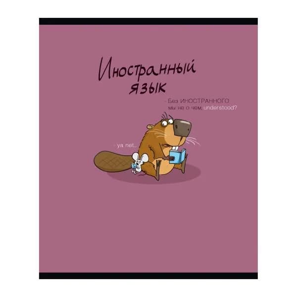 Тетрадь ПЗБМ предметная 40л клетка Бобр Английский язык