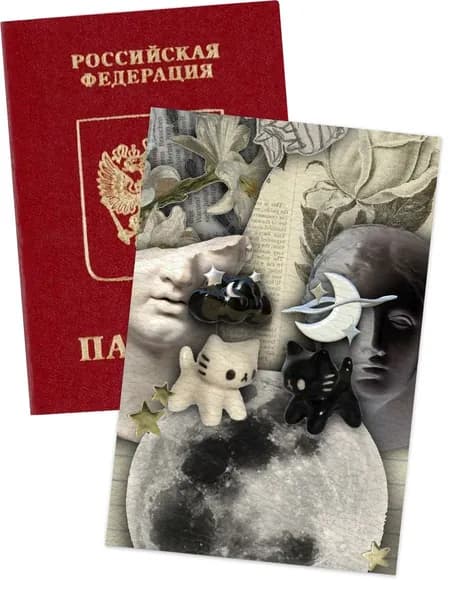обложка на паспорт у2к