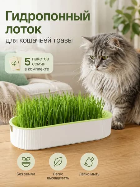 Гидропонная установка,От сети