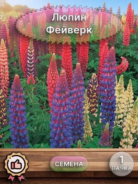 Люпин Фейверк, смесь, семена 10 шт