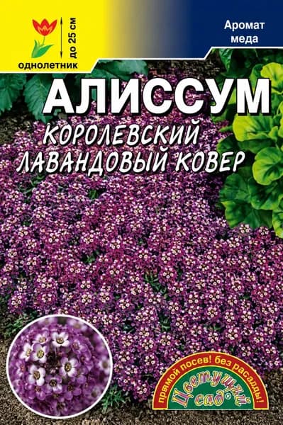Алиссум душистый медонос КОРОЛЕВСКИЙ ЛАВАНДОВЫЙ КОВЁР для контейнеров, вазонов, клумб (Семена Цветущий Сад, 0,05 г семян в упаковке)