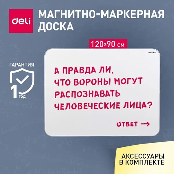 Доска демонстрационная магнитно-маркерная на стену для офиса и дома Deli, 90x120 см, лак, серебристый Уцененный товар