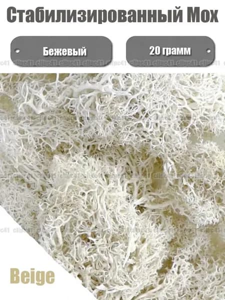 Стабилизированный мох Мох, 20 гр