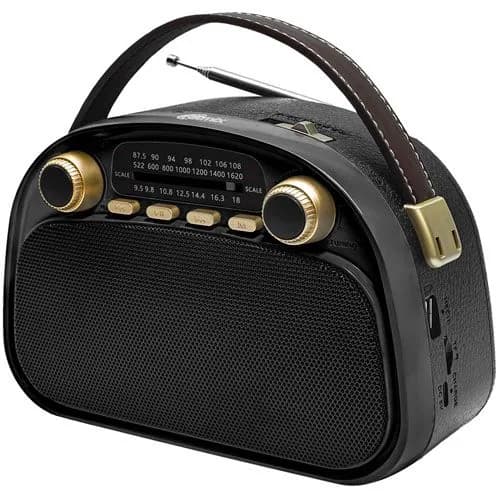 Радиоприемник Ritmix RPR-040 Black