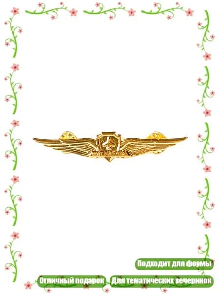 Знак "Пилот" (нагрудный значок капитана авиации), - значок самолета