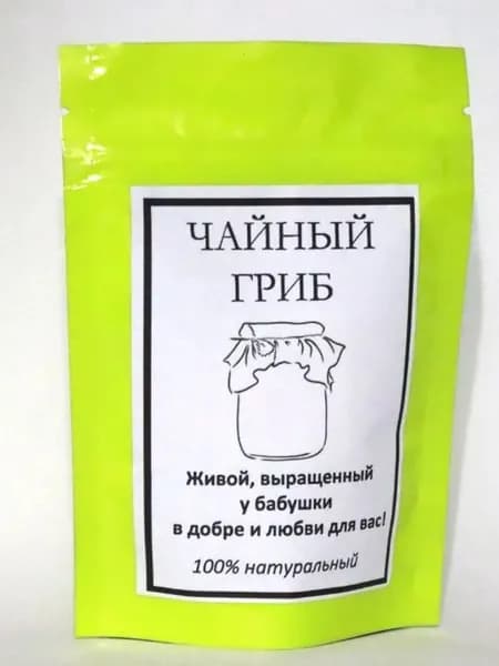 Чайный гриб "Классик" живой и активный