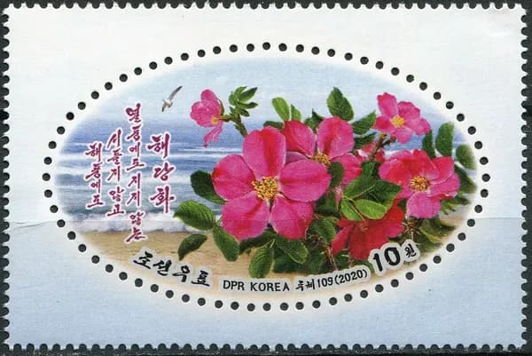 Почтовые марки Северная Корея 2020г. "Сладкий шиповник" Цветы MNH