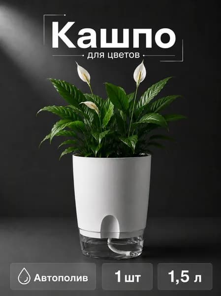 Кашпо с фитильным поливом 1.5л