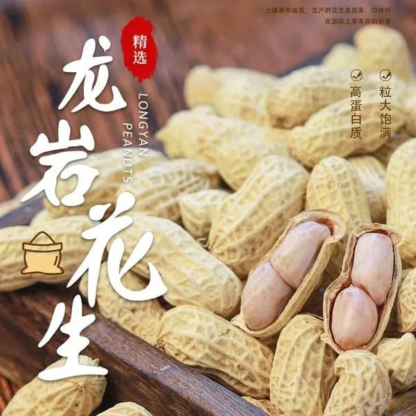 Арахис в скорлупе с чесночным вкусом из Лунъяня, варёно-сушёный солёный снек, фиолетовая оболочка, закуска к напиткам