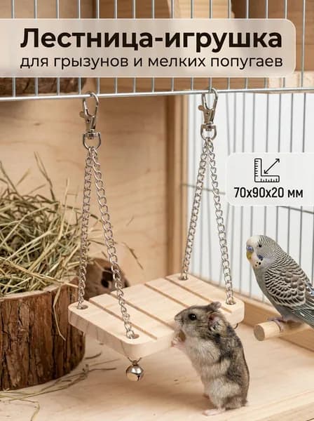 Лестница-игрушка для грызунов и мелких попугаев, деревянная, 70x90x20 мм