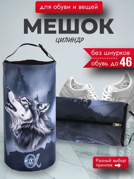 Мешок для обуви, сумка чехол для сменки школьная большая