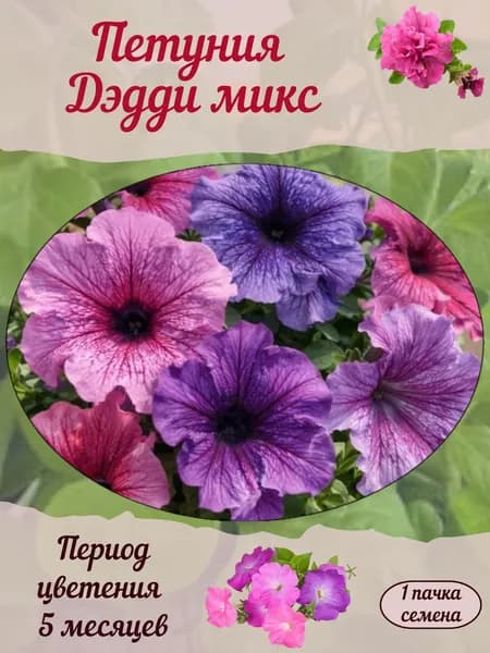 Петуния Дэдди микс, семена, 10 шт.