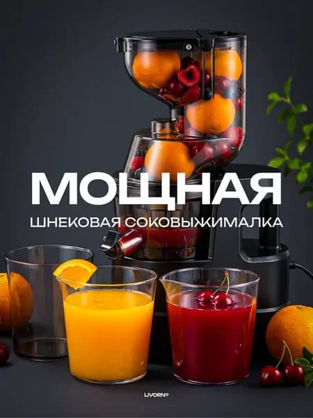 Соковыжималка шнековая электрическая