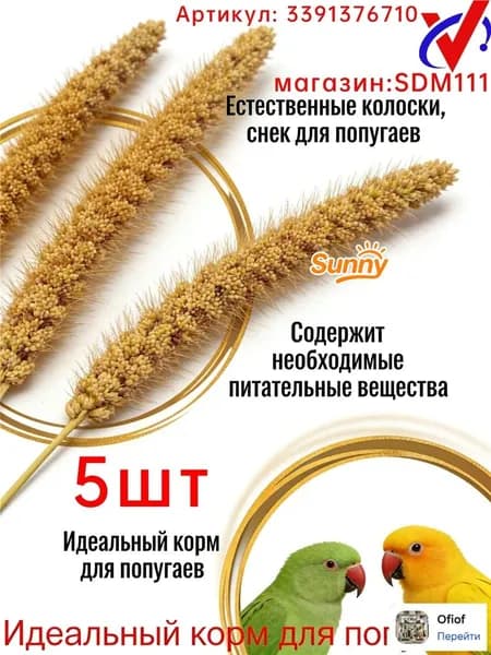 Чумиза для попугаев 5 шт. сенегальское просо лакомство игрушка для птиц и грызунов , урожай 2025 года - КОПОШИЛКА бренд от производителя