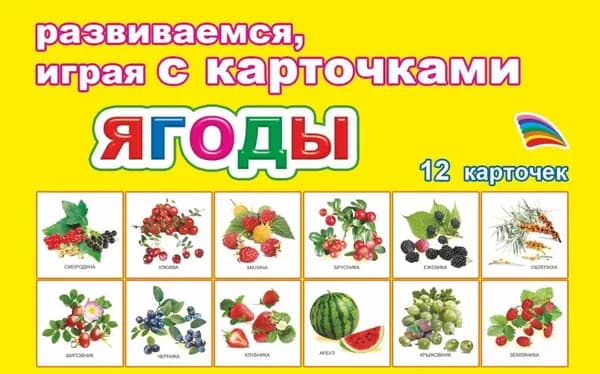 Карточки ЯГОДЫ: 12 шт. в комплекте. Развивающие карточки для детей дошкольного и младшего школьного возраста, Леда-Алфея