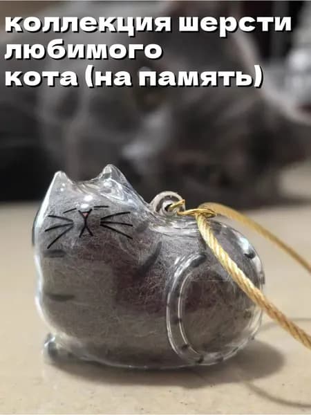 Мини-капсула для хранения кошачьей шерсти,ручная работа,Образцы шерсти домашних животных,DIY